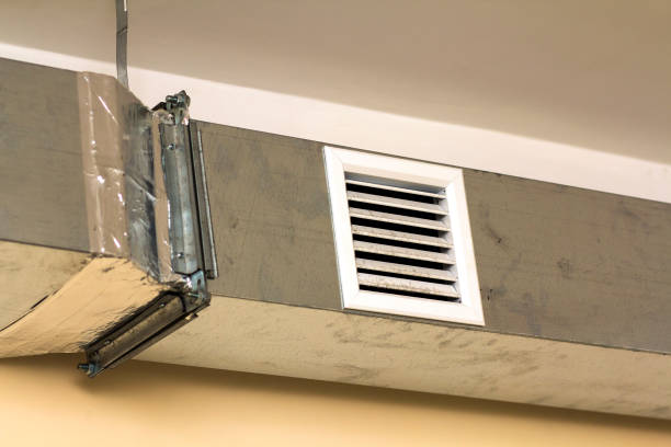 Best Air Duct Mold Removal  in Carlyle, IL